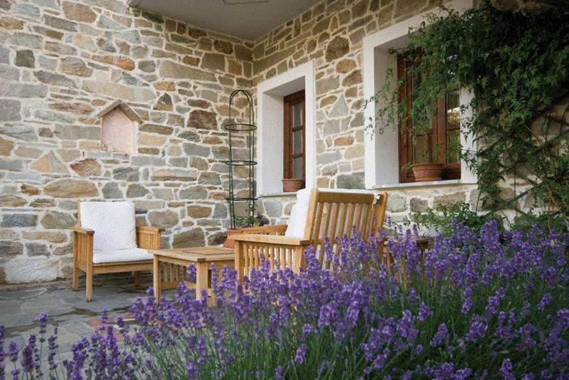 Villa Kastanodasos Emporio  외부 사진